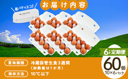 【6か月連続お届け】眠れる森のたまご　朝採れ卵60個   たまご タマゴ 卵 鶏卵 濃厚 こだわり 新鮮　【04301-0795】