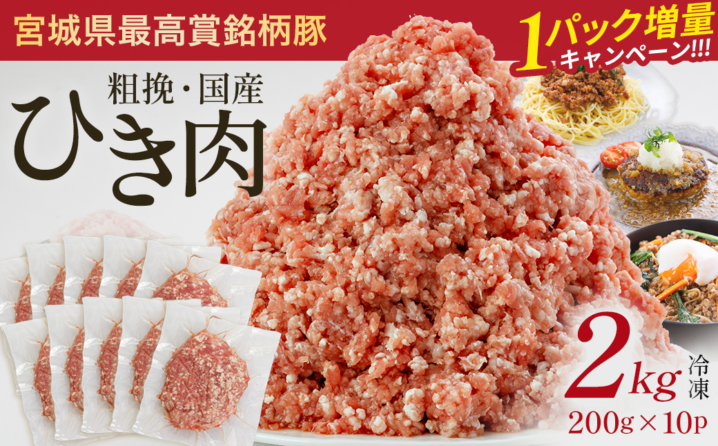 【期間限定・1パック増量キャンペーン！】JAPAN X ひき肉  200g×10  計2kg　豚肉 豚 ブランド豚 小分け 豚ひき肉 挽肉 ひき肉 ジャパンエックス 蔵王 人気【04301-0885】
