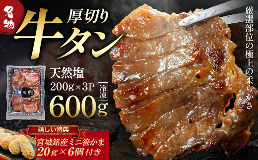 蔵王福膳・柔らか牛タン(塩) 600g・笹かま付き　牛たん 牛タン 仙台名物 厚切り 蔵王 人気【04301-0566】