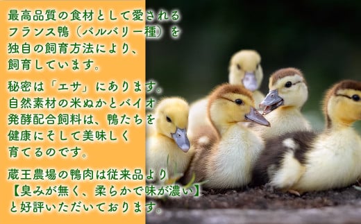 蔵王鴨 仙台せり鍋セット2〜3人前　【04301-0121】 鍋 せり鍋 鍋セット せり 鴨 簡単 本場 お取り寄せグルメ 蔵王