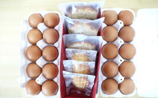 阡オ邇狗是迴蜊オ縺ィ縺願藷蟄舌ョ隧ー蜷医○C縲縲04301-0308縲