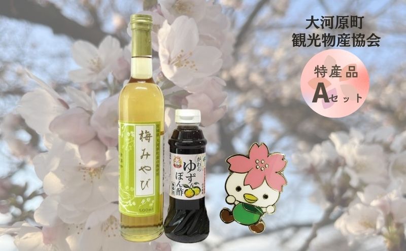 大河原町観光物産協会 特産品Aセット ドレッシング 調味料 ポン酢 柚子 梅 シロップ 果実 グッズ 詰め合わせ 町のおすすめ返礼品