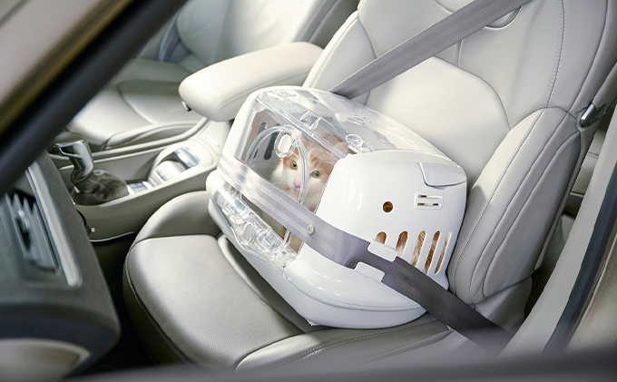 ãããããŠã¹&ãã£ãªãŒ ã¢ã€ããªãŒ P-HC480 ã¢ã€ãªã¹ãªãŒã€ã ãããçšå ãããã°ã㺠ããããã£ãªãŒããã° ç« å°åç¬ ããã¡ åºãå
¥ãã©ã¯ è» ç§»å ã·ãŒããã«ãåºå® 絊氎ããã«