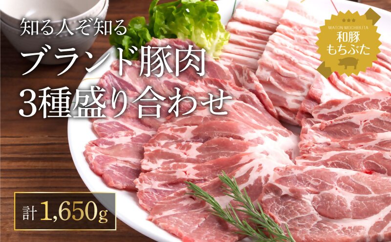 もちぶた 肩ロース 3種 約1650g 詰め合わせ セット 焼き肉のたれ付 ロース バラ ソテー 焼肉 焼肉のたれ おろし醤油 味噌 和豚 もち豚 豚肉 ポーク お肉 肉 豚 ぶた 豚ロース バラ肉 精肉 アウトドア スペシャルキャンペーン