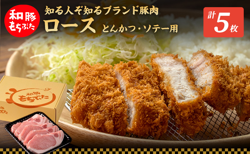 もちぶた ロース 150g × 5枚 ソテー とんかつ 和豚 もち豚 豚肉 ポーク お肉 肉 豚 ぶた ブタ 豚ロース 精肉 アウトドア キャンプ バーベキュー 冷蔵 宮城 スペシャルキャンペーン 10,000円台おすすめ返礼品
