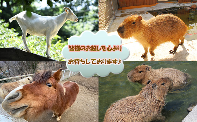 バーベキュー セット もちぶたを堪能できる 手ぶら 2名様分 体験チケット 豚肉