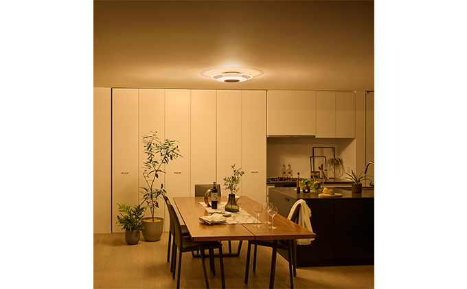 シーリングライト LED 照明 パネルライト 12畳 CEA-A12DLPW アイリスオーヤマ 照明器具 天井照明 節電 省エネ リビング 寝室 和室 ダイニング キッチン 台所 