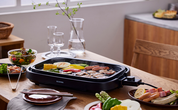 ããããã¬ãŒã 倧å 2æãã¬ãŒã IHA-A20-B ãã©ã㯠網çŒã颚 çŒè ãããã çŒèãã¬ãŒã ããŒã ããŒãã£ãŒ ã¢ã€ãªã¹ãªãŒã€ã 調çå®¶é» ãããã³å®¶é»