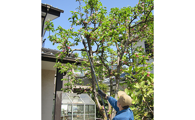 充電式 電動 高枝切りバサミ 充電式高枝剪定はさみ 3.7V JTH10 高枝剪定 せんてい バサミ 3.7V 充電式 コードレス 庭 園芸 軽量 アイリスオーヤマ ガーデニング用品 2WAY 