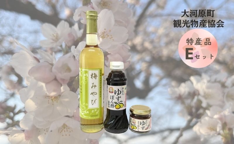 大河原町観光物産協会 特産品Eセット 加工食品 調味料 梅シロップ ゆずぽん酢しょうゆ ゆずとうがらし 調味料セット 詰め合わせ