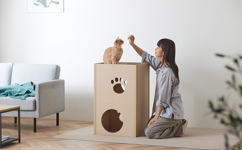 キャットタワー 低め 段ボール ねこねこタワー アイリスオーヤマ 2段 P-NT2 おしゃれ 段ボールハウス キャットハウス かわいい 猫 ネコ cat キャット キャットツリー ボックス ハニカム構造 