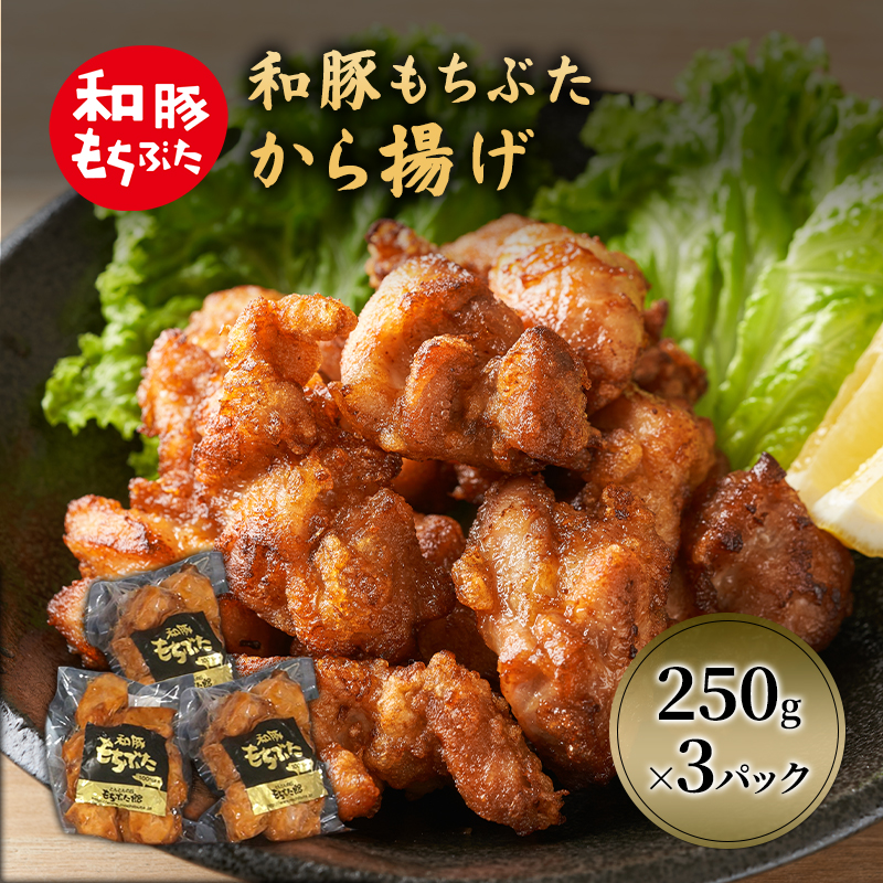 和豚 もちぶた から揚げ 3パック 約250g×3 豚肉 レトルト 小分け 時短