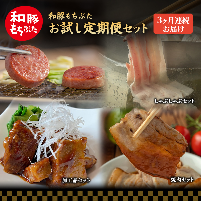【定期便3回】和豚 もちぶた お試しセット 3ヶ月連続 ソーセージ 角煮 豚肉