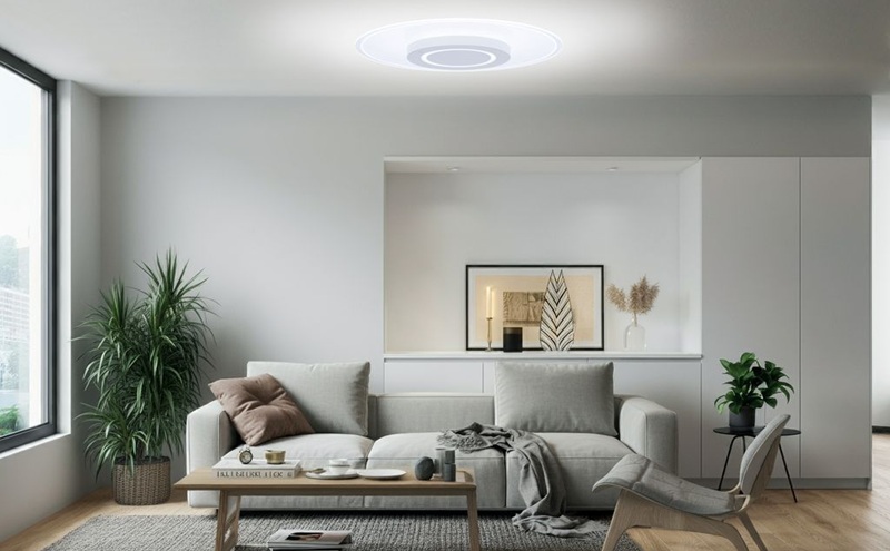 照明 LEDシーリングライト パネルライト 調光調色 12畳 CEA-A12DLP-S シーリングライト リモコン おしゃれ 12畳 アイリスオーヤマ 電気 LED シーリング リビング 子供部屋 調光 調色 リモコン付 和室 台所 天井照明 シンプル 一人暮らし 新生活