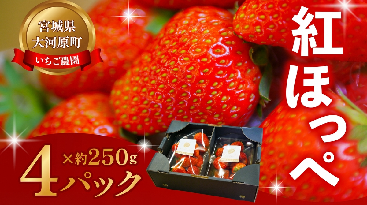 大河原町のいちご 完熟いちご 4パック 果物 フルーツ 苺 紅ほっぺ かおり みずみずしい ジューシー 期間限定 季節限定 いちご 小分け
