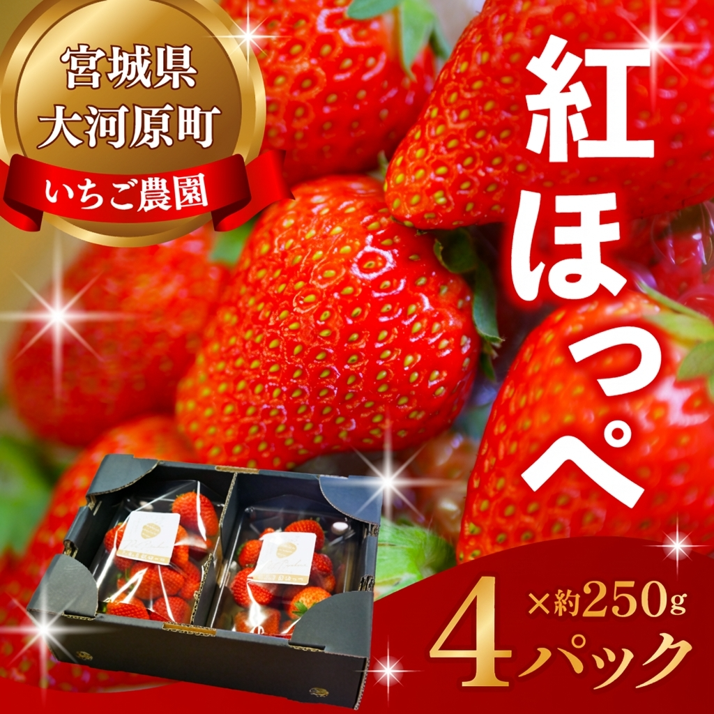 大河原町のいちご 完熟いちご 4パック 果物 フルーツ 苺 紅ほっぺ かおり みずみずしい ジューシー 期間限定 季節限定 いちご 小分け
