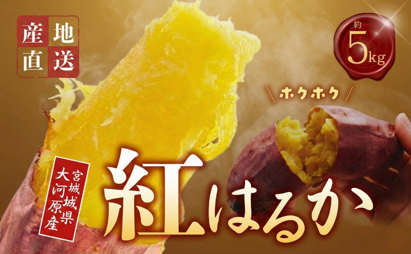 さつまいも 約5kg 紅はるか サツマイモ 宮城県産 甘い 秋 冬 スイーツ いも 産地直送 宮城県 大河原町