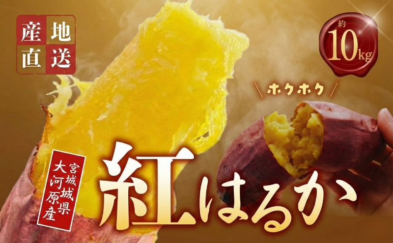 さつまいも 約10kg 紅はるか サツマイモ 宮城県産 甘い 秋 冬 スイーツ いも 産地直送 宮城県 大河原町