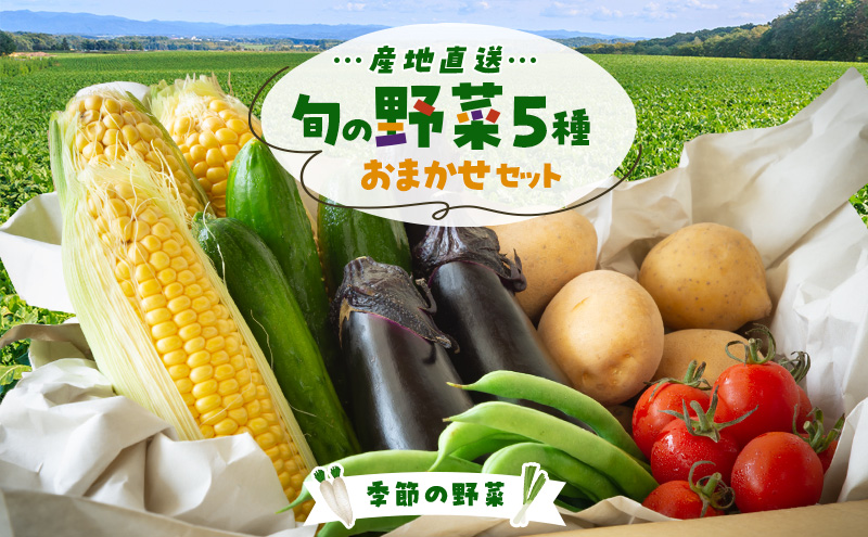 季節の野菜 おまかせ野菜セット 詰合せ 白菜 キャベツ ブロッコリー さつまいも 長ねぎ 大根 さといも 季節 旬 野菜 詰め合せ 国産 おまかせ 産地直送 秋野菜 冬野菜 葉物 冷蔵 野菜室