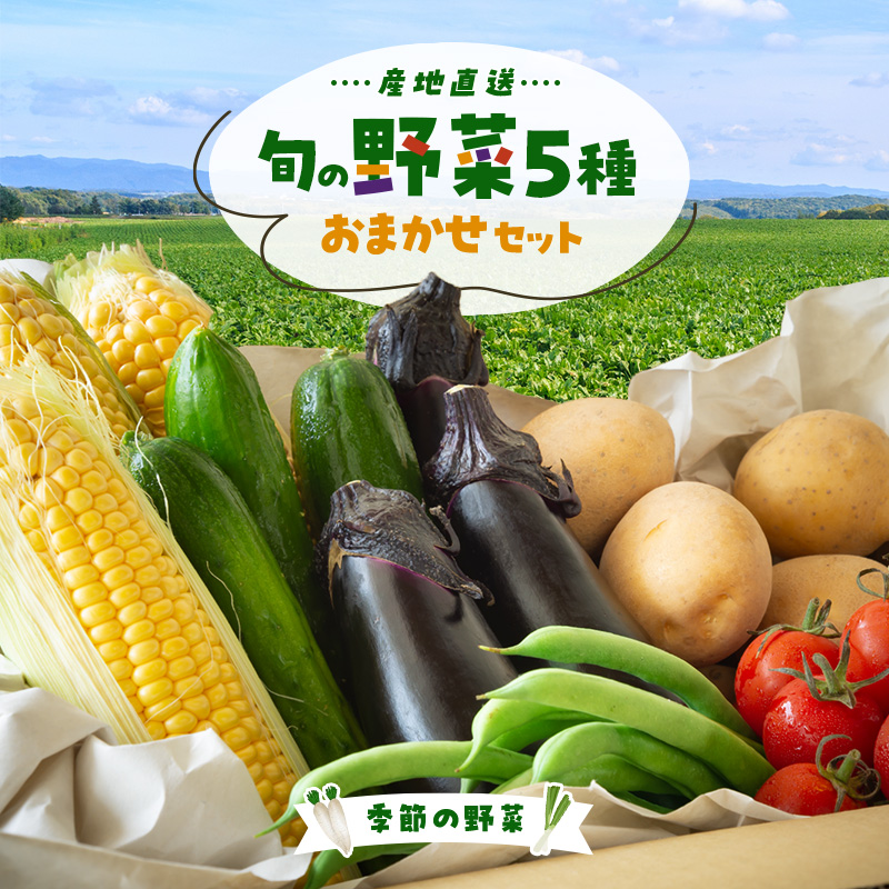 季節の野菜 おまかせ野菜セット 詰合せ 白菜 キャベツ ブロッコリー さつまいも 長ねぎ 大根 さといも 季節 旬 野菜 詰め合せ 国産 おまかせ 産地直送 秋野菜 冬野菜 葉物 冷蔵 野菜室