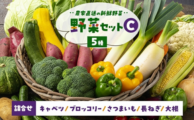 季節の野菜 野菜セットC 5種 キャベツ ブロッコリー さつまいも 長ねぎ 大根 詰合せ 季節 旬 野菜 詰め合せ 国産 産地直送 秋野菜 冬野菜 葉物 冷蔵 野菜室