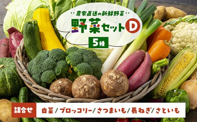 季節の野菜 野菜セットD 5種 白菜 ブロッコリー さつまいも 長ねぎ さといも 詰合せ 季節 旬 野菜 詰め合せ 国産 産地直送 秋野菜 冬野菜 葉物 冷蔵 野菜室