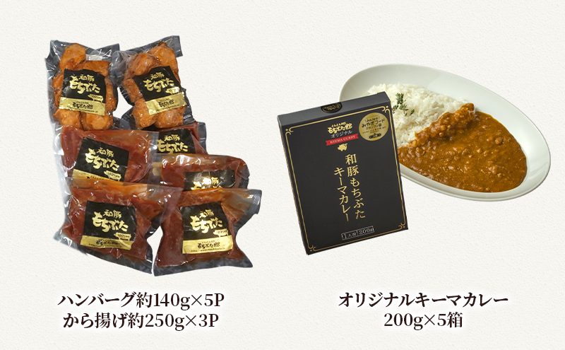 【3ヵ月定期便】全3回 和豚もちぶた ハンバーグ から揚げ カレー 豚肉