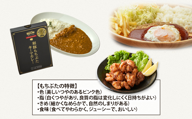 【3ヵ月定期便】全3回 和豚もちぶた ハンバーグ から揚げ カレー 豚肉