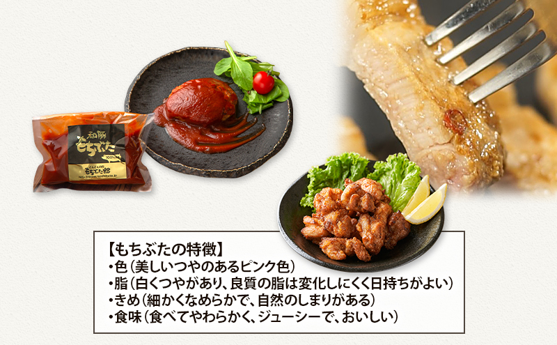 【3ヵ月定期便】和豚 もちぶた 3種 ハンバーグ 唐揚げ 味噌漬け 豚肉
