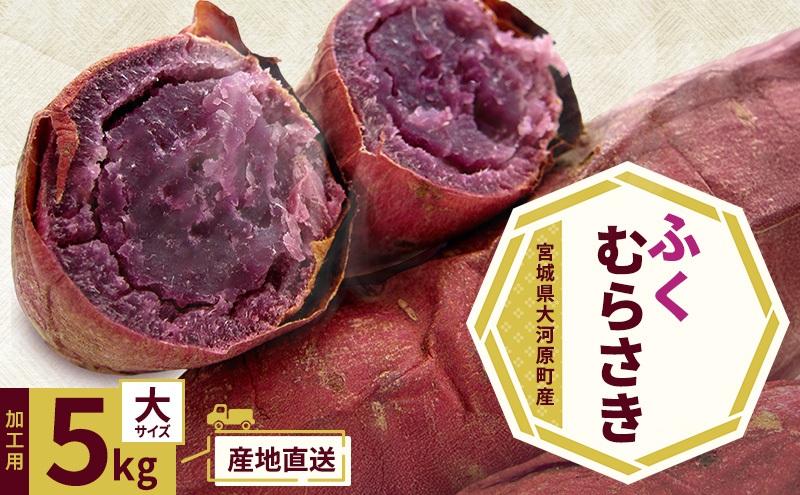 さつまいも 約5kg ふくむらさき 加工用 大きいサイズ サツマイモ 宮城県産 甘い 秋 冬 スイーツ いも 産地直送 宮城県 大河原町