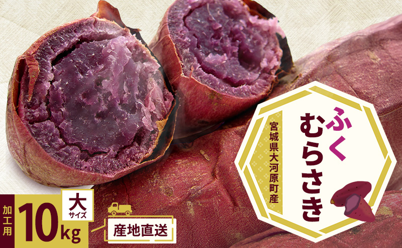 さつまいも 約10kg ふくむらさき 加工用 大きいサイズ サツマイモ 宮城県産 甘い 秋 冬 スイーツ いも 産地直送 宮城県 大河原町