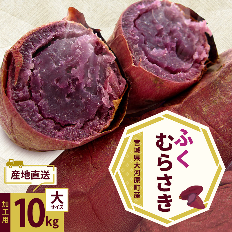 さつまいも 約10kg ふくむらさき 加工用 大きいサイズ サツマイモ 宮城県産 甘い 秋 冬 スイーツ いも 産地直送 宮城県 大河原町