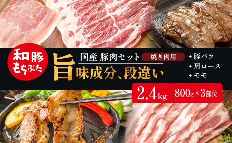 和豚もちぶた お試しセット 焼肉用 2400g 800g×3部位 豚バラ 肩ロース モモ