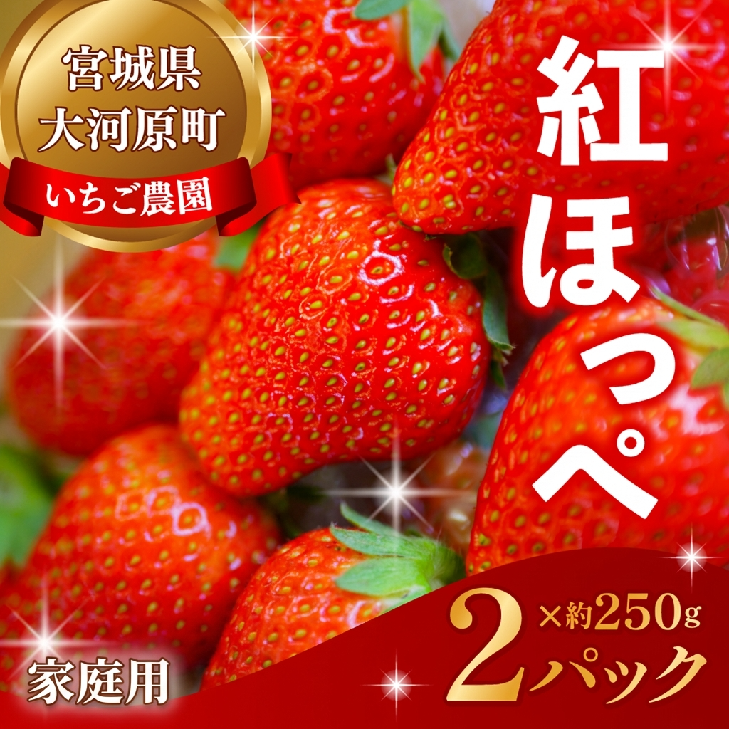 大河原町のいちご 完熟いちご 2パック 果物 フルーツ 苺 紅ほっぺ かおり みずみずしい ジューシー 期間限定 季節限定 家庭用