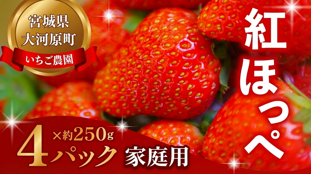大河原町のいちご 完熟いちご 4パック 果物 フルーツ 苺 紅ほっぺ かおり みずみずしい ジューシー 期間限定 季節限定 家庭用
