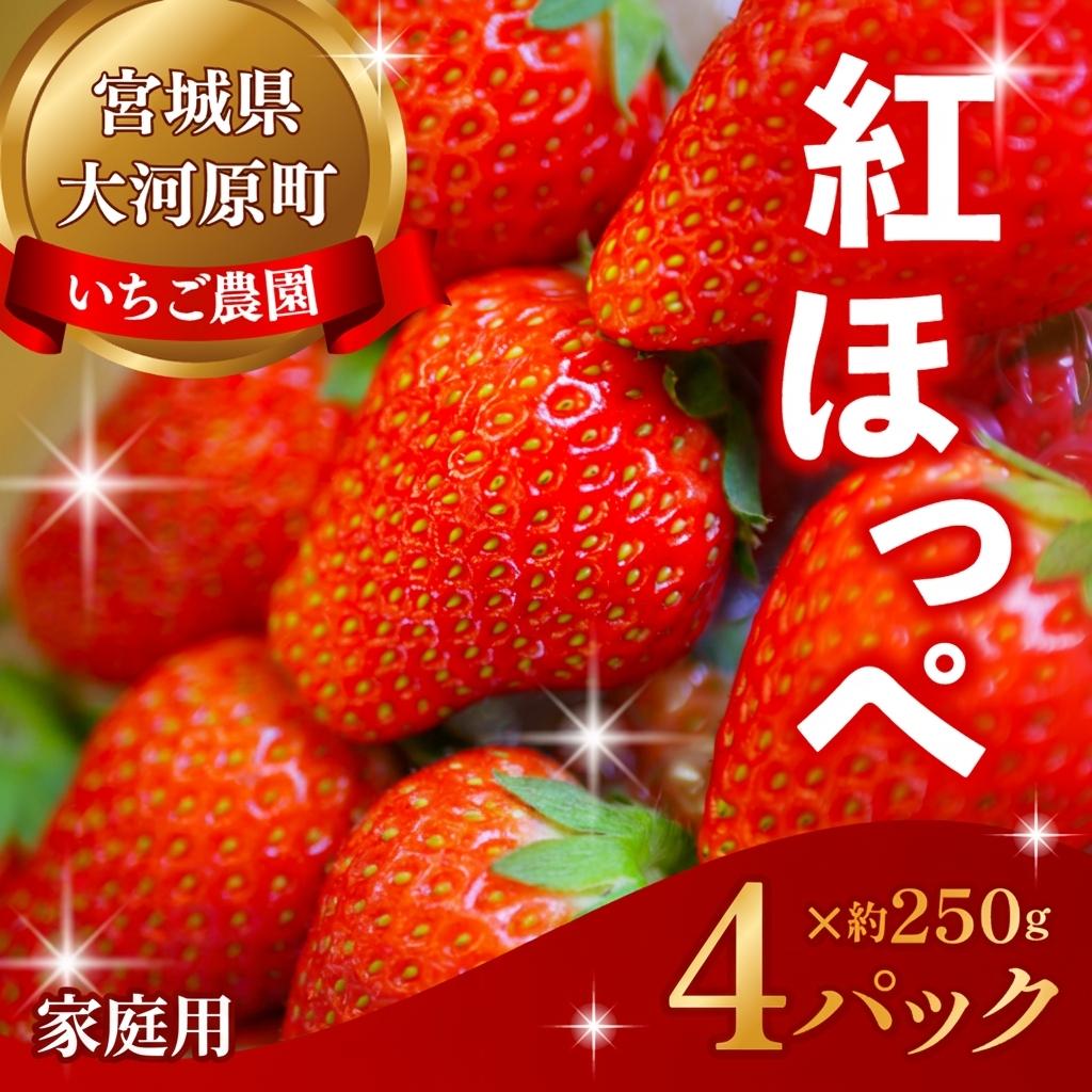 大河原町のいちご 完熟いちご 4パック 果物 フルーツ 苺 紅ほっぺ かおり みずみずしい ジューシー 期間限定 季節限定 家庭用
