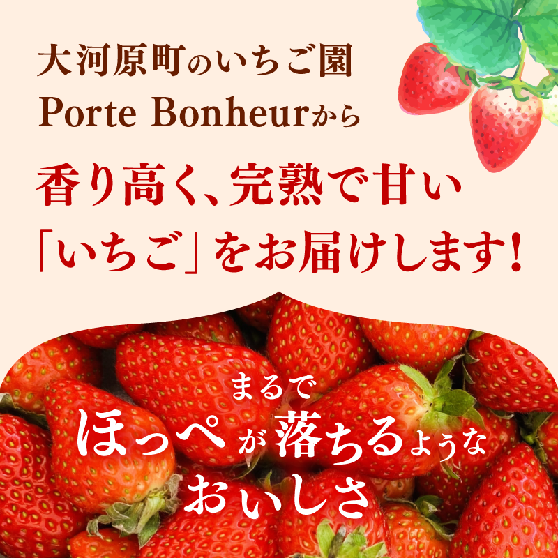 大河原町のいちご 完熟いちご 4パック 果物 フルーツ 苺 紅ほっぺ かおり みずみずしい ジューシー 期間限定 季節限定 家庭用