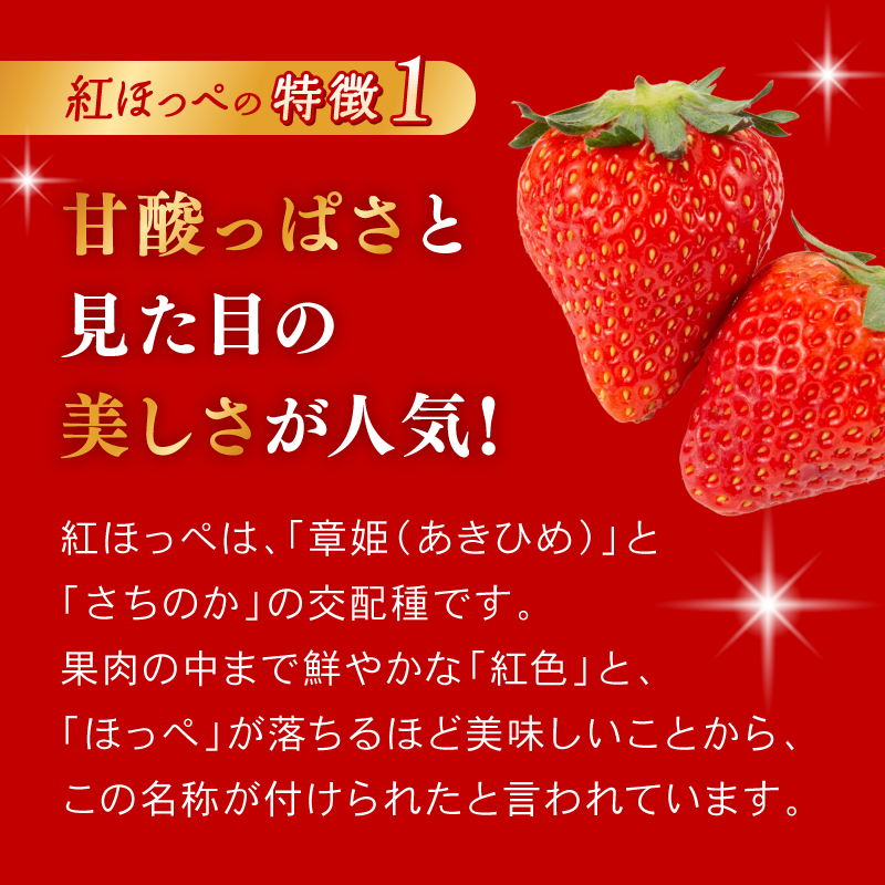 大河原町のいちご 完熟いちご 4パック 果物 フルーツ 苺 紅ほっぺ かおり みずみずしい ジューシー 期間限定 季節限定 家庭用