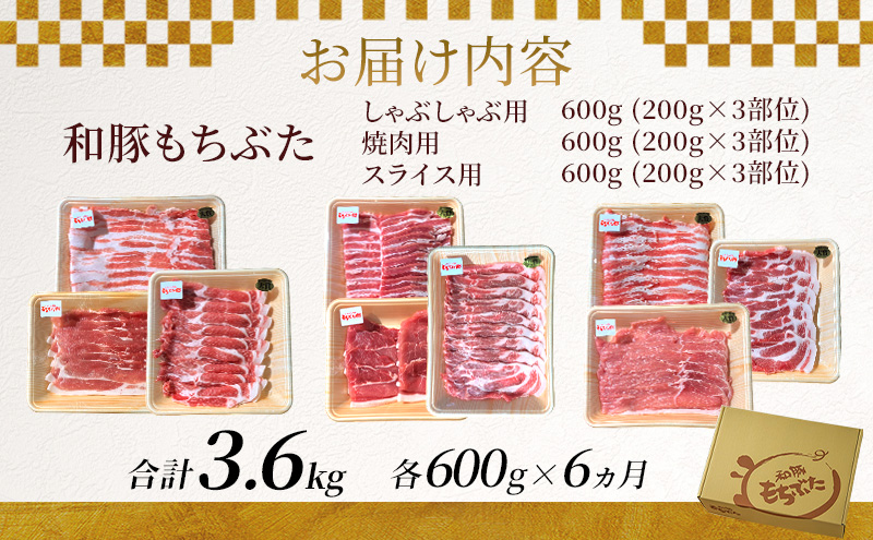 和豚もちぶた 6ヵ月定期便 計3.6kg しゃぶしゃぶ 焼肉 スライス 豚肉