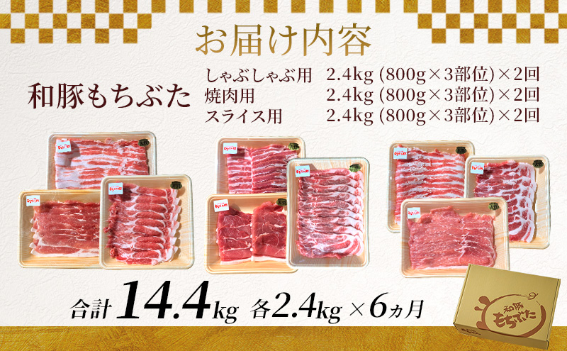 和豚もちぶた 6ヵ月定期便 計14.4kg しゃぶしゃぶ 焼肉 スライス 豚肉