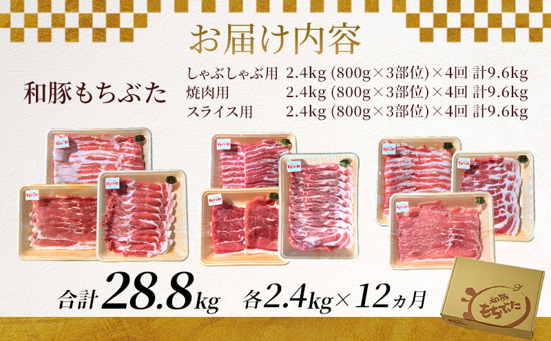 和豚もちぶた 12ヵ月定期便 計28.8kg しゃぶしゃぶ 焼肉 スライス 豚肉