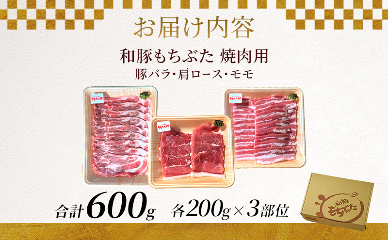和豚もちぶた お試しセット 焼肉用 600g 200g×3部位 1～2人世帯向け 豚バラ 肩ロース モモ