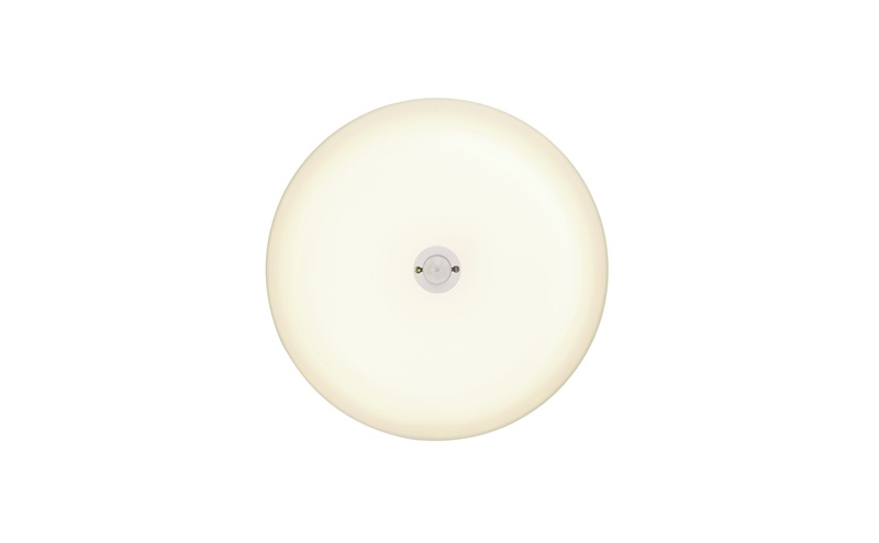LEDå°åã·ãŒãªã³ã°ã©ã€ã 人æã»ã³ãµãŒä» é»çè² SCL20L-MS-U2 ã·ãŒãªã³ã°ã©ã€ã LED å°å èå led ãããã ç
§æ ç
§æåšå
· ã¢ã€ãªã¹ãªãŒã€ã å€©äº ç°¡ååä» çãšã ã³ã³ãã¯ã ãããã³ å»äž ãã€ã¬ å°åã·ãŒãªã³ã°ã©ã€ã 人æ 人æã»ã³ãµãŒ