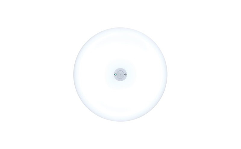 LED小型シーリングライト 人感センサー付 昼光色 SCL20D-MS-U2 シーリングライト LED 小型 薄型 led おしゃれ 照明 照明器具 アイリスオーヤマ 天井 簡単取付 省エネ コンパクト キッチン 廊下 トイレ 小型シーリングライト 人感 人感センサー