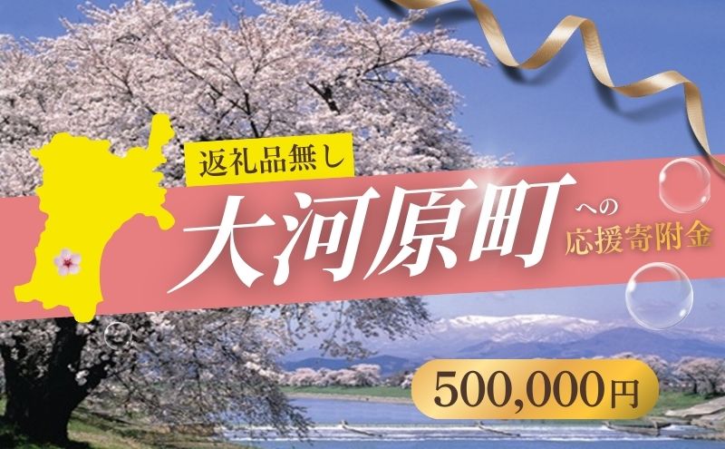 【返礼品なし応援寄附】宮城県大河原町（500,000円）