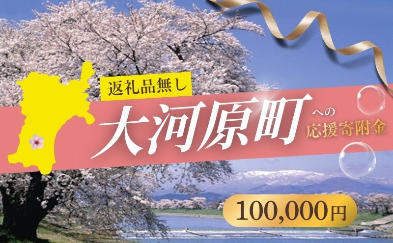 【返礼品なし応援寄附】宮城県大河原町（100,000円）