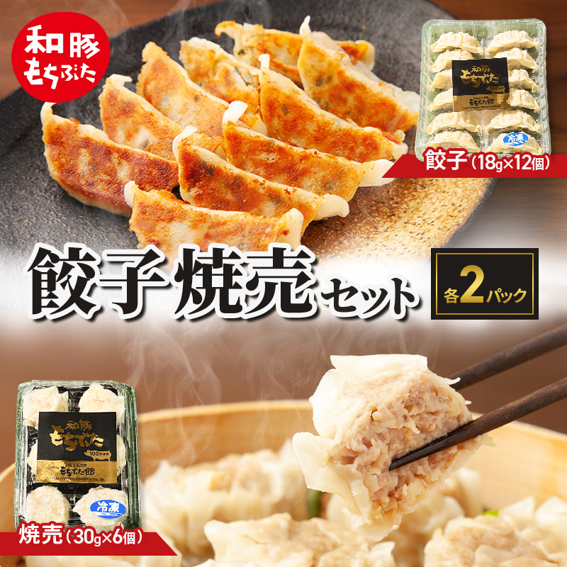 和豚もちぶた 餃子 焼売 もちぶた セット 各2パック