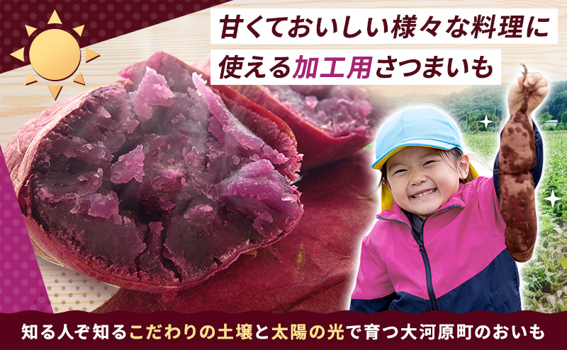 さつまいも 約5kg ふくむらさき 加工用 大きいサイズ サツマイモ 宮城県産 甘い 秋 冬 スイーツ いも 産地直送 宮城県 大河原町