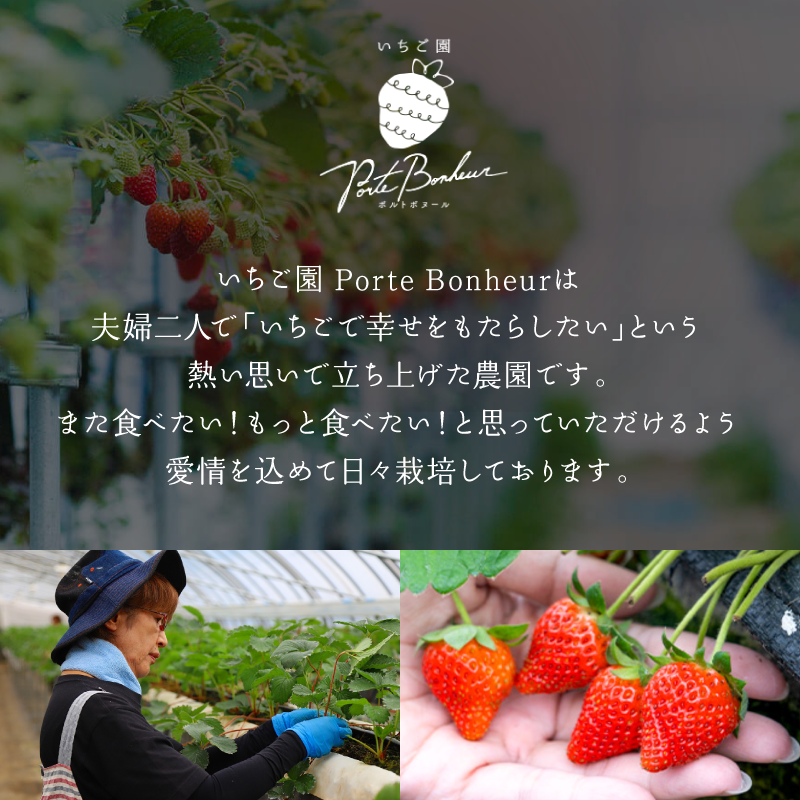 大河原町のいちご 完熟いちご 4パック 果物 フルーツ 苺 紅ほっぺ かおり みずみずしい ジューシー 期間限定 季節限定 家庭用