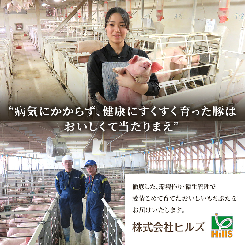 定期便12回 しゃぶしゃぶ 肩ロース すき焼き 200g×5 (1kg) 豚肉